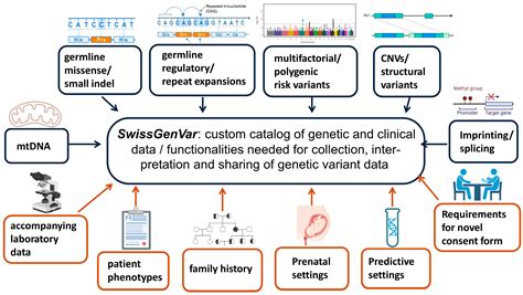 JPM | Free Full-Text | SwissGenVar: A Platform for Clinical-Grade ...