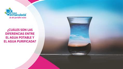Conoce las diferencias entre agua potable y agua purificada