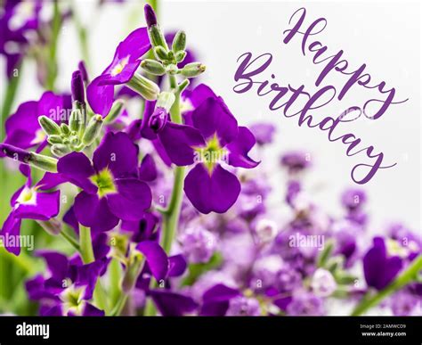 Happy Birthday Purple Flowers Images