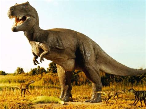 恐龙6500万年前灭绝后科学家重绘恐龙的进化历程