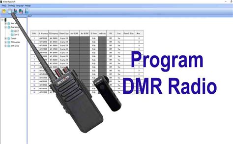 DMR Program 的图像结果