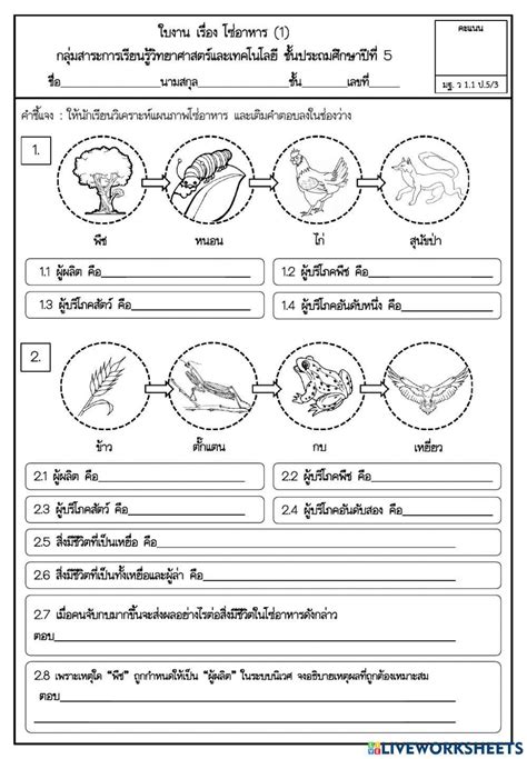 Image result for Direct Variation Worksheet Answer Key