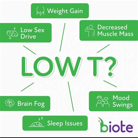 HRT Program 的图像结果