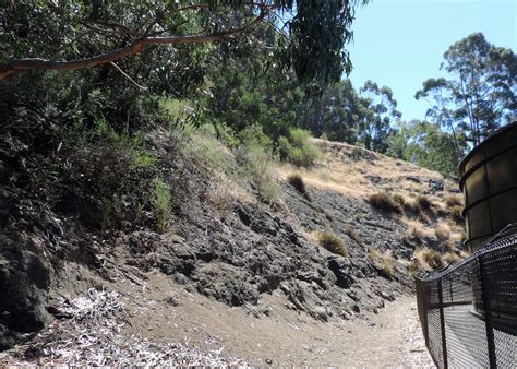 Eden By The Bay: Sibley Volcanic Regional Preserve