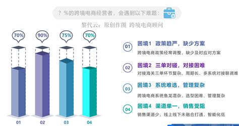 2019-2020中国跨境电商行业海淘用户洞察及趋势分析_平台