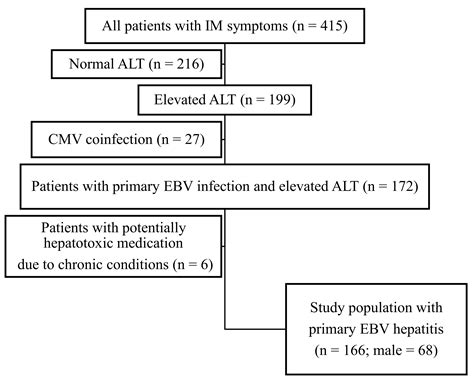 Epstein Barr Virus Hepatitis—A Mild Clinical Symptom or a Threat?