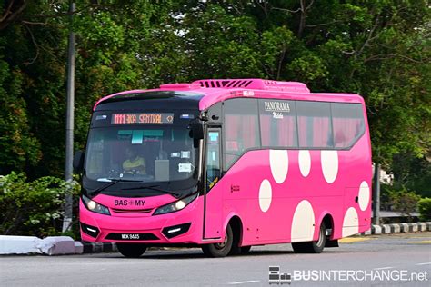 M11 Bus 的图像结果