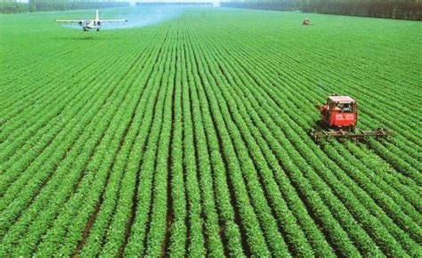 4月大豆进口下降13.6%，中国停止购买美国大豆，咱们的后手在哪里？ - 知乎
