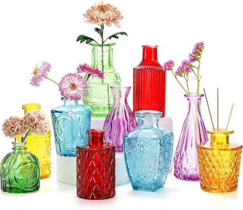 Amazon.com: Coloch Set of 10 Colored Bud Vases, Assorted Small Glass ...