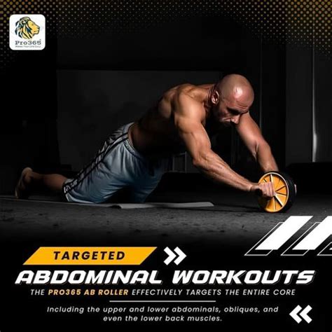 PRO365 Home Gym Ab Roller Indoor Ab Wheel for Abs Workouts Exercise 6 ...