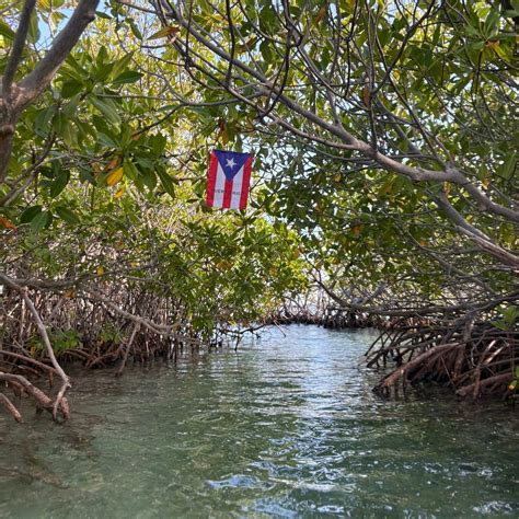 PARGUERA BOAT EXCURSIONS (2026) All You Need to Know BEFORE You Go ...