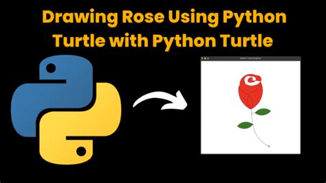 Image result for Python Turtle 3D Roses with No Background