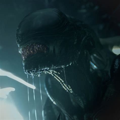 Image result for Alien Kill Count