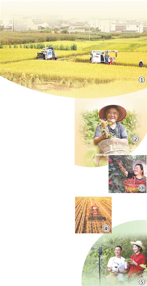 丰收中国 最美画卷（深度观察·中国农民丰收节特别报道） - 原创 - 海外网