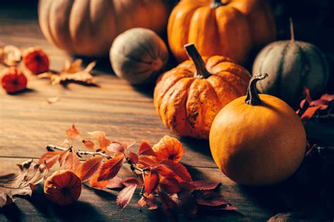 Thanksgiving Colors: Meaning Behind Orange, Red, Brown and Yellow