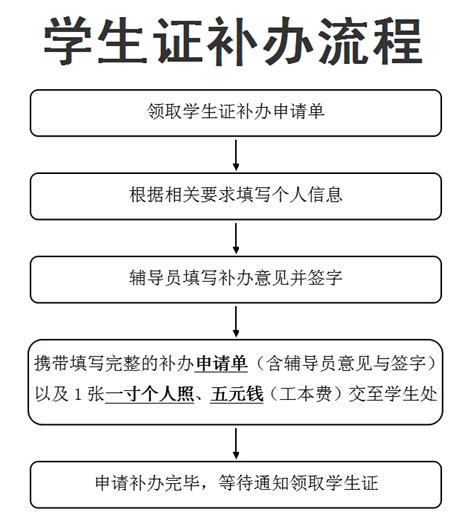 上海科学技术职业学院学生证补办流程（含附件补发学生证申请表）