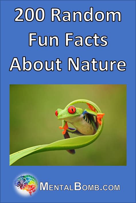 Image result for Random Fun Facts