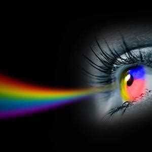 MSI GT83VR 7RE Titan SLI 18.4-inch Laptop with Gaming Bag (Core i7 ...