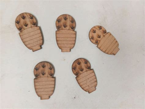 Miniature Cactus Plant