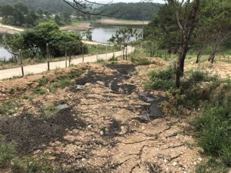 贵州丹寨苗族村民挖渠抗旱-贵州旅游在线