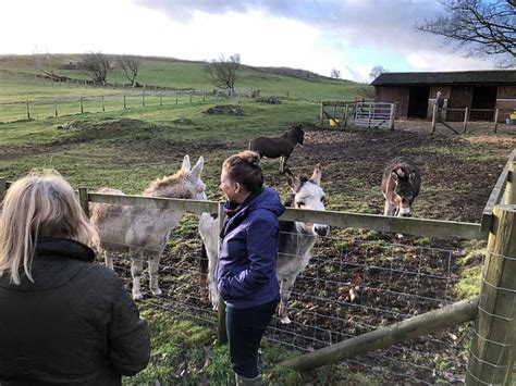 TY BACH HOLIDAYS (Corwen) - Campground Reviews & Photos - Tripadvisor