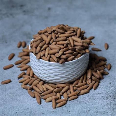Pine Nuts with Shell – Buy Pine Nuts Online | Regales Delight
