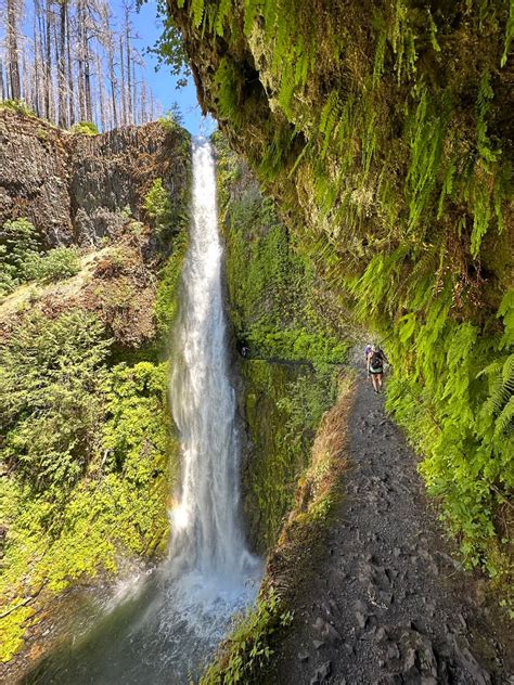 Tunnel Falls Oregon