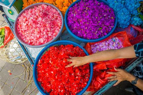 Bali Flower Market 的图像结果