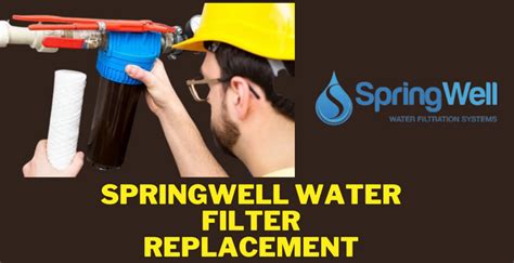 Image result for Springwell Water Filter Systems