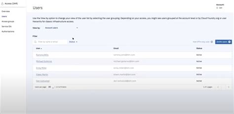 IBM Cloud Demo 的图像结果