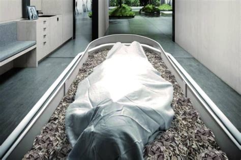 Image result for Compost Autopsy