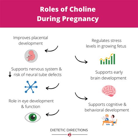 Pregnancy Super Foods | & Nutrition Boosting Tips {Dietitian Blog}