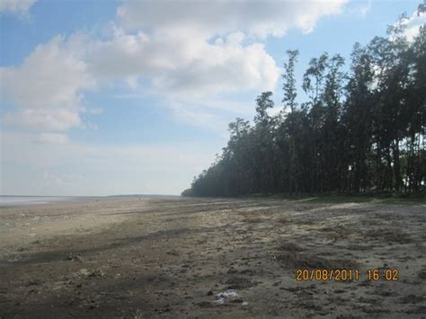 Gopalpur Beach (Ganjam) - 2021 What to Know Before You Go (with Photos ...