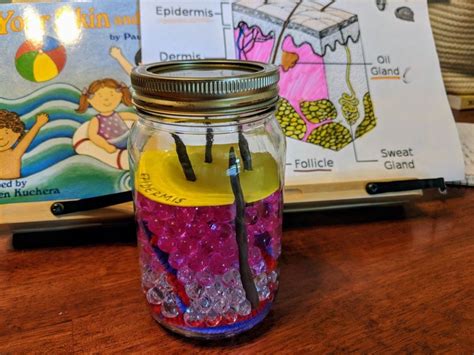 Image result for Tissue Box Project