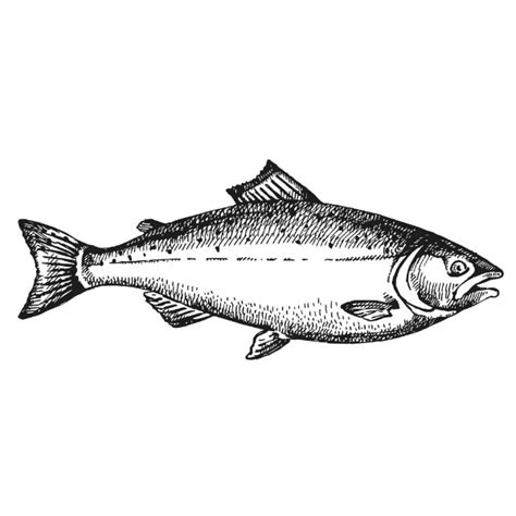 Salmon sperm DNA facials: The celebrity-approved beauty trend ...