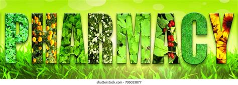 Image result for Pharmacy Management System Using Python