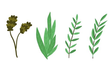 Leaves Floral And Design at Mazie Reed blog