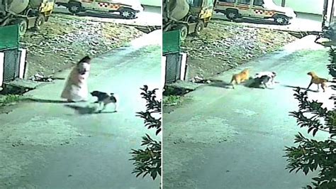 Latest Indore News, Headlines & Live Updates | The Free Press Journal