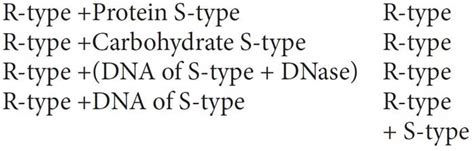 Exploring the Molecular Basis: Insights into Cellular Functionality and ...