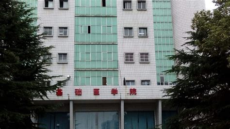 武汉大学医学职业技术学院是几本？怎么样？排名第几？好就业吗？