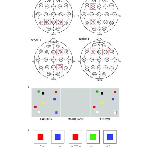 Transcranial Alternating Current Stimulation 的图像结果
