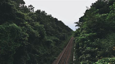 Download wallpaper 3840x2160 railway, trees, road 4k uhd 16:9 hd background