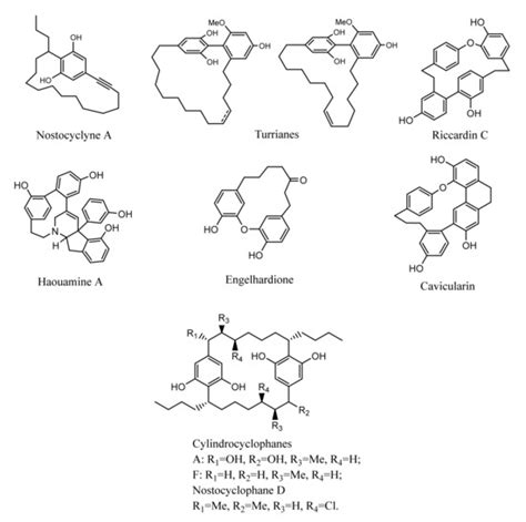 Direct Synthesis of Polyaromatic Cyclophanes Containing Bis-Methylene ...