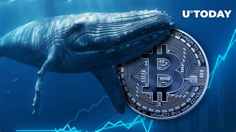 Top BTC Whales Set Three-Year Record: Details