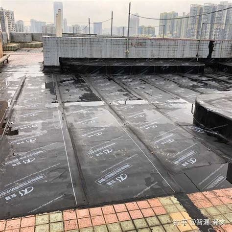 给屋顶做防水大概多少钱呢？ - 知乎