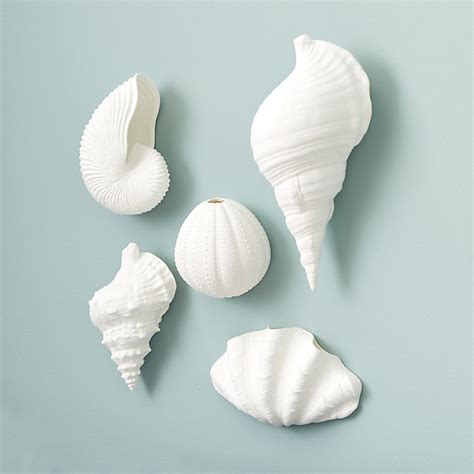 Porcelain Shells - Set of 5 | Ballard Designs
