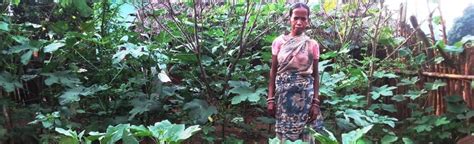 World Health Day 2020: How nutrition gardens helped tribals in Odisha's ...
