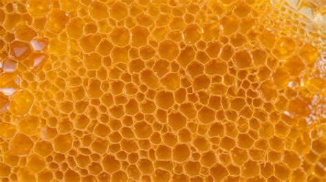 Crystallized Honey, How to Fix It | The Science Explained – California Sun Honey - what happens when honey crystallizes
