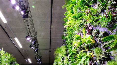 Your expert for vertical greening: plant construction & systems from a ...