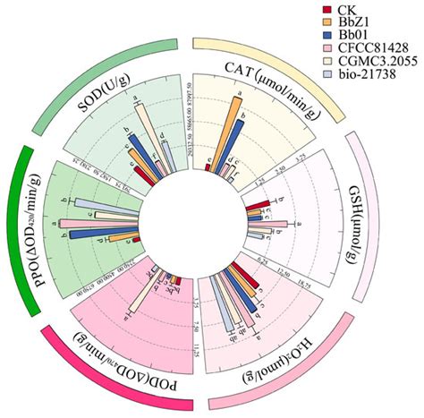 Exploration of the Effects of Different Beauveria bassiana Strains on ...